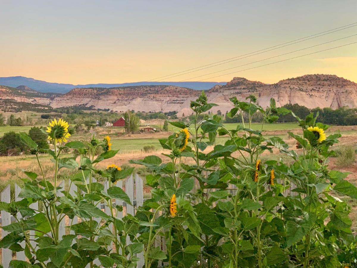 Annie'S Place Bed & Breakfast Boulder Town Exteriér fotografie